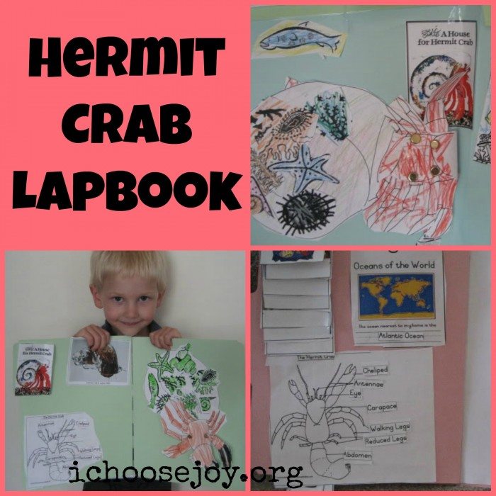 Hermit Crab Lapbook
