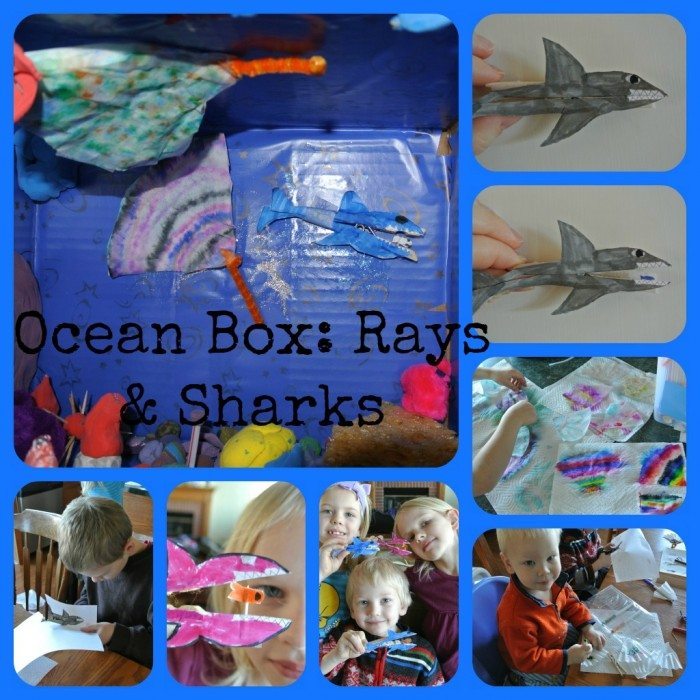 Ocean Box Ray and Shark Collage 2