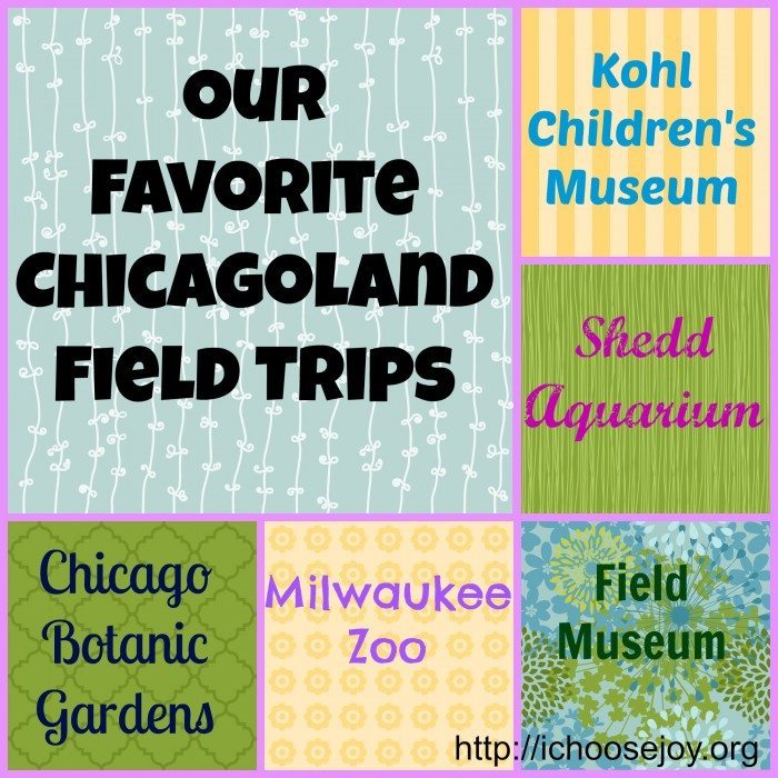 Chicagoland Field Trip Collage