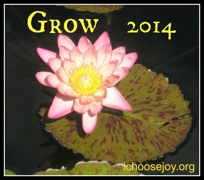 Grow 2014