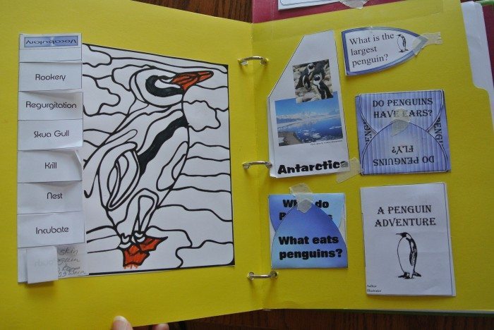 Penguin lapbook 014