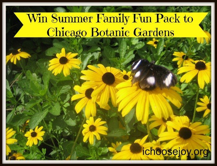 Botanic Gardens Summer Family Fun Pack