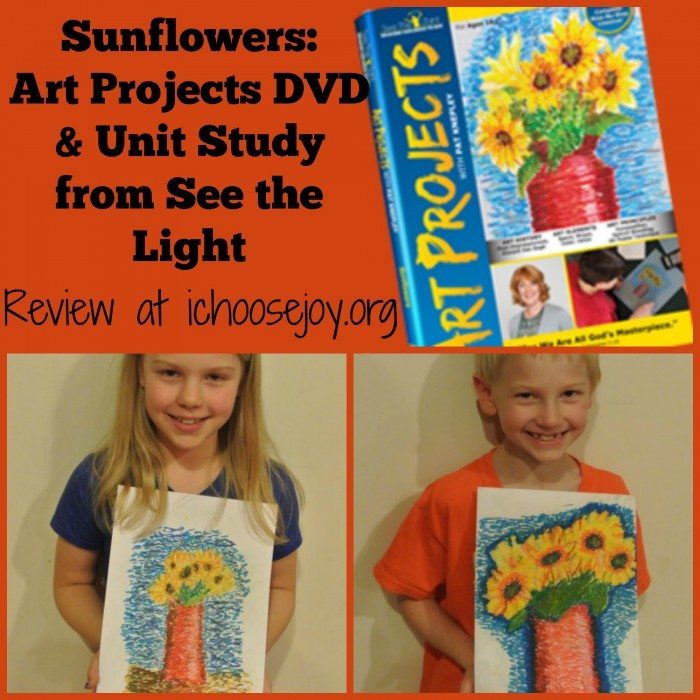 See the Light Sunflowers Art DVD
