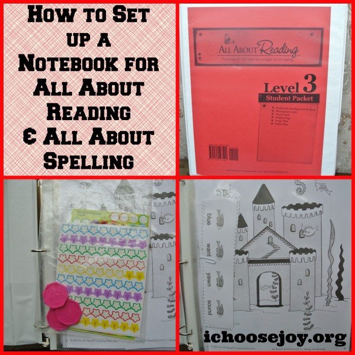 Set up Notebook All About Reading and Spelling