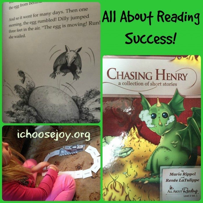 All About Reading Success