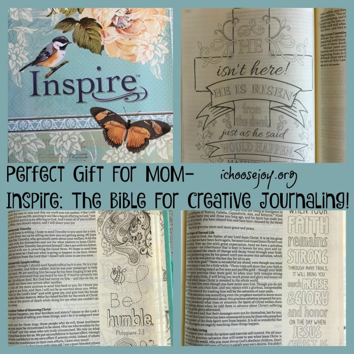 Great Mom's Gift Inspire Bible for Creative Journaling