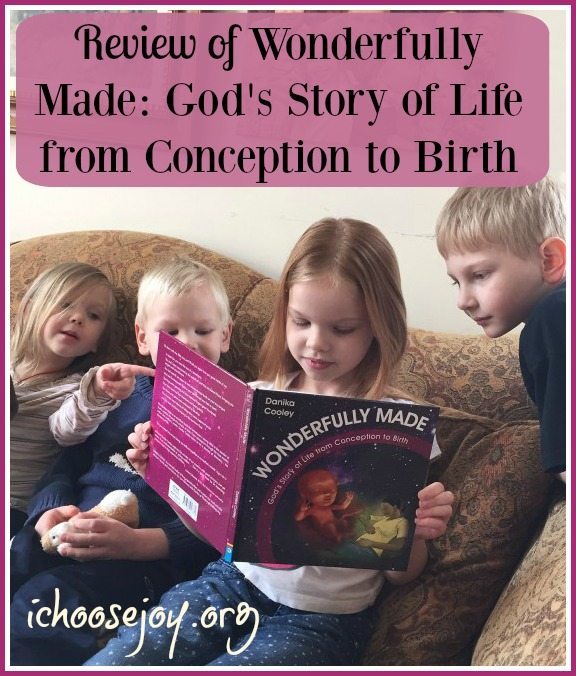 Wonderfully Made From Birth to Conception book review