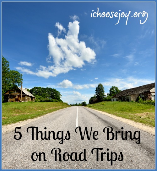 5 Things We Bring on Road Trips