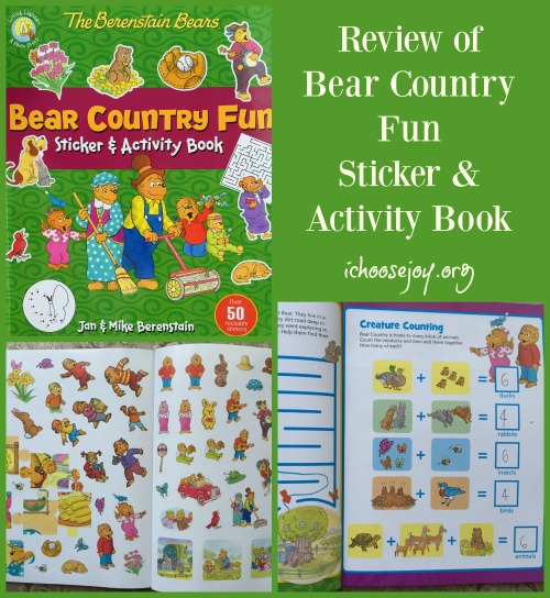 Bear Country Fun Sticker & Activity book review