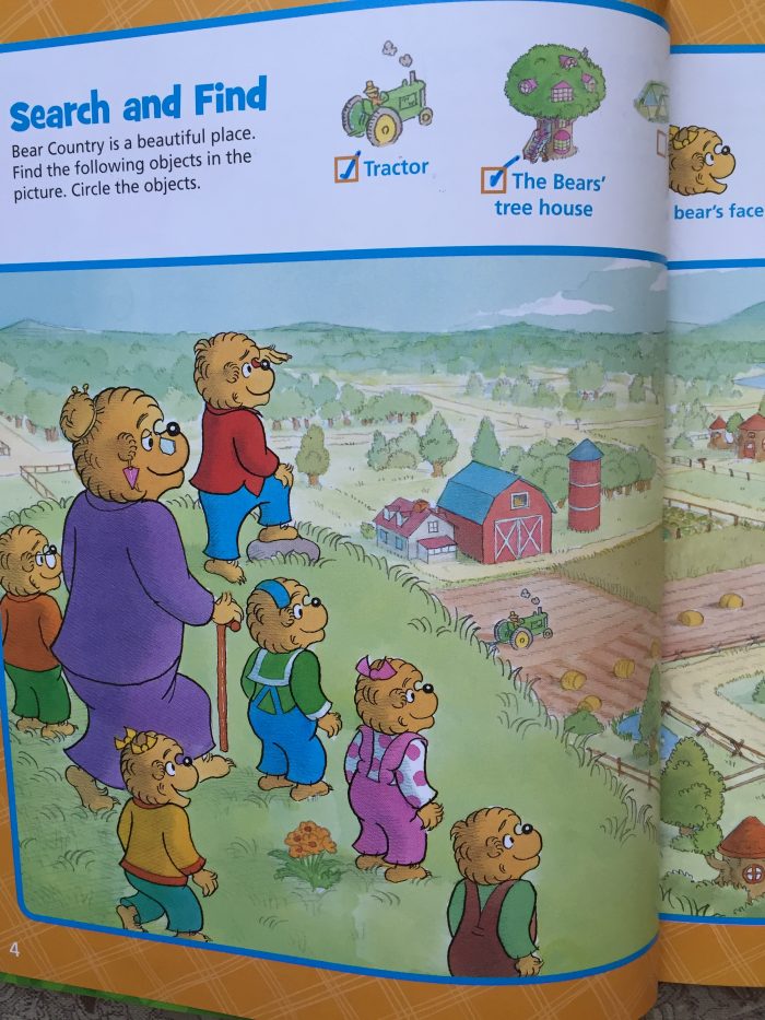 Bear Country Fun Sticker & Activity book