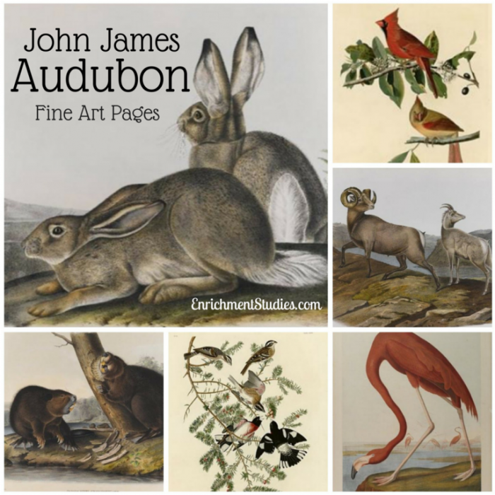 John James Audubon Fine Art Pages