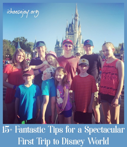 15+ Fantastic Tips for a Spectacular First Trip to Disney World