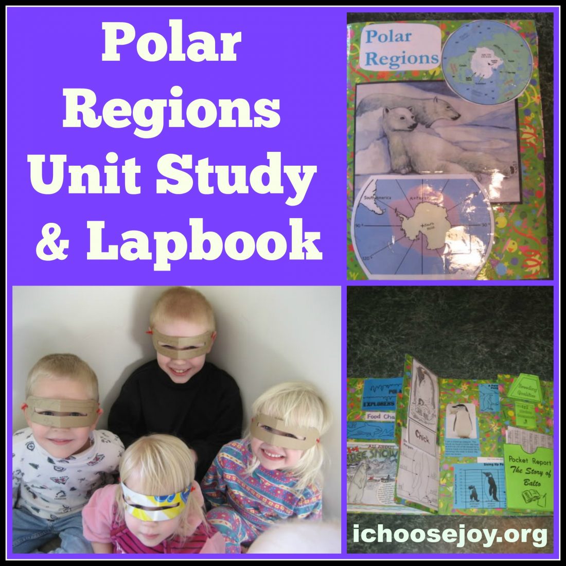 Polar Regions unit study and lapbook