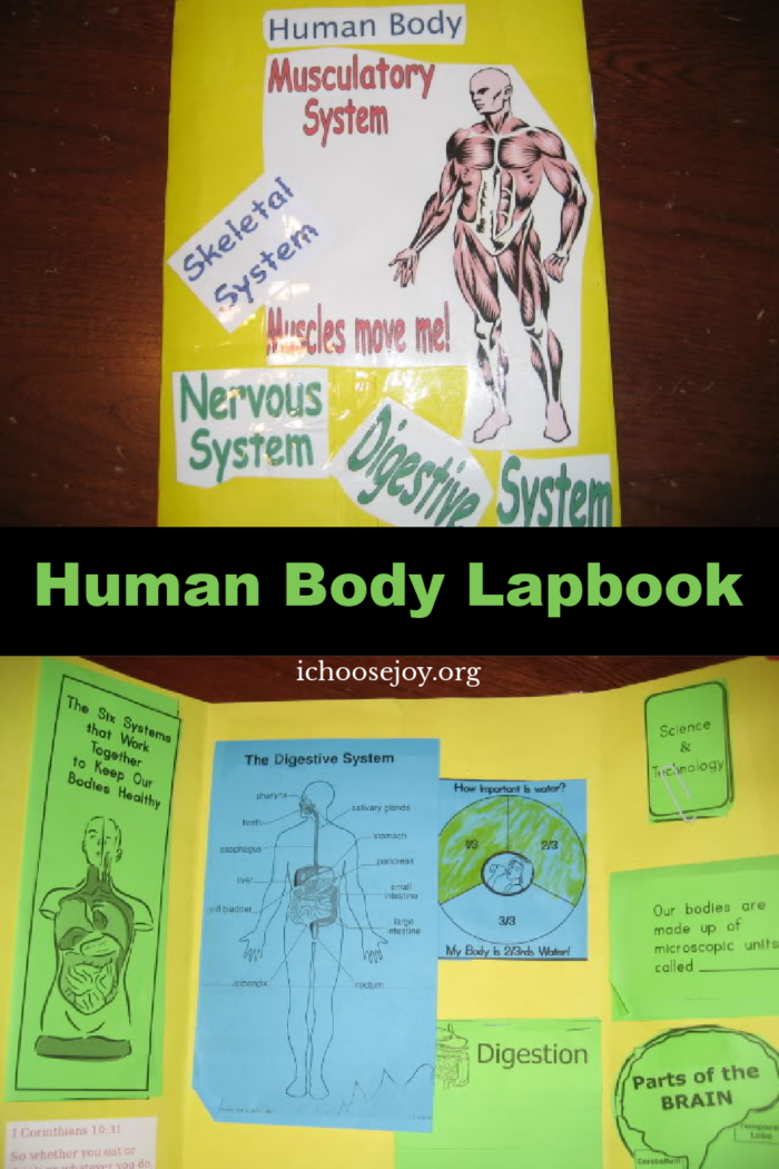 Human Body Lapbook from I Choose Joy
