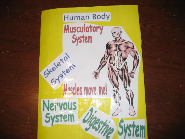 Human Body lapbook cover