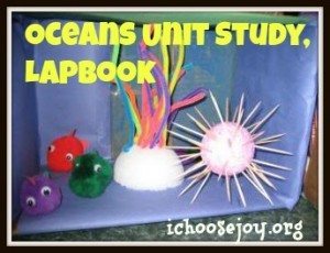 Oceans unit study and lapbook