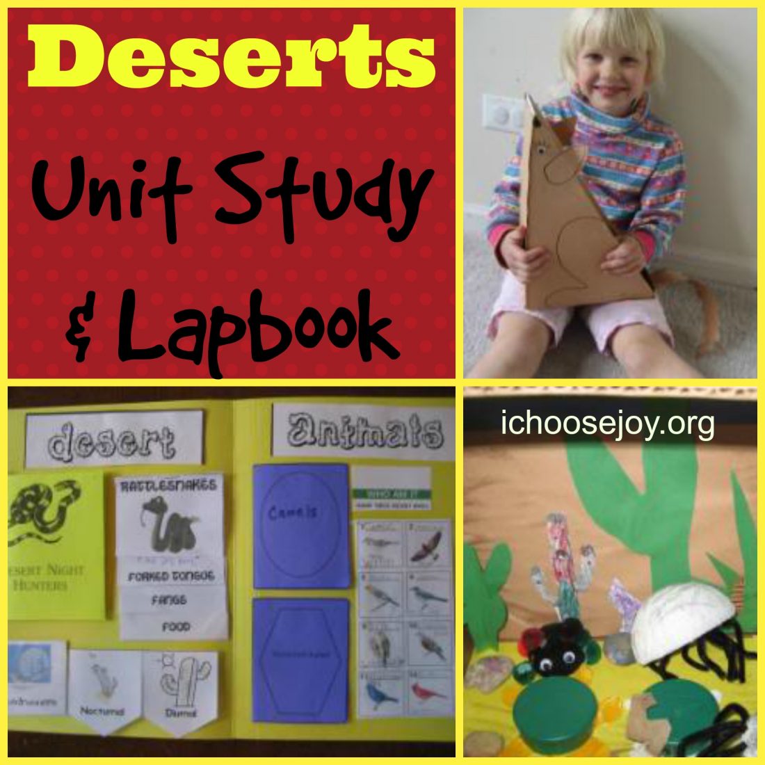 Desert Unit Study and Lapbook
