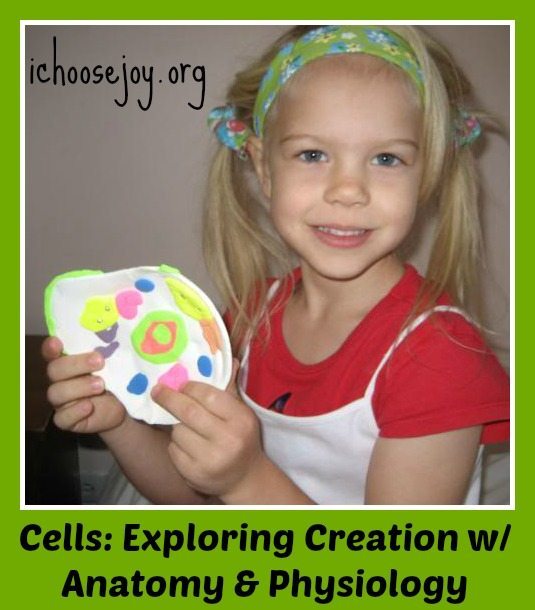 “Cells” at our new Co-op with “Exploring Creation With Human Anatomy and Physiology”