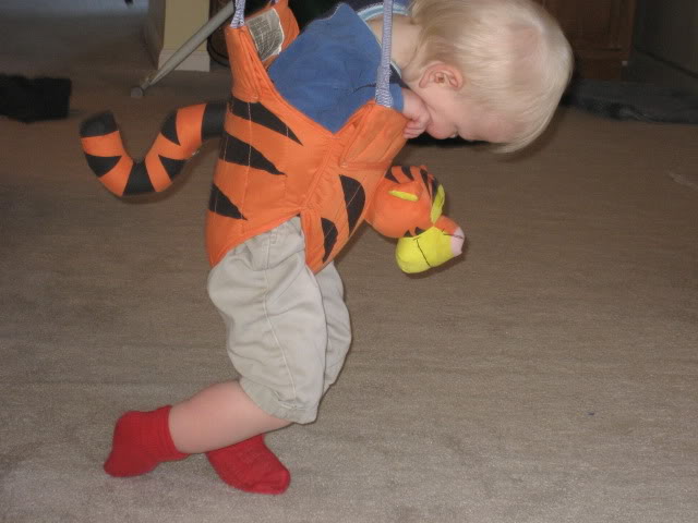 Tired baby in the Tiger bouncy