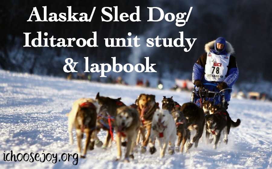 Alaska/ Sled Dog/ Iditarod unit study and lapbook