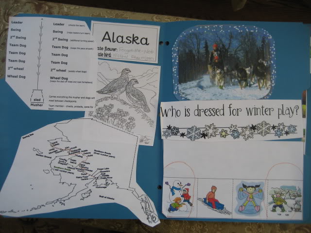 Come learn all about Alaska, Sled Dogs, and the Iditarod with this unit study and lapbook. #iditarod #alaska #homeschool #ichoosejoyblog