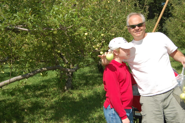 at apple orchard 2012