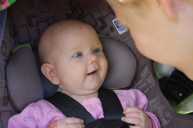 at apple orchard 2012