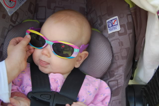 at apple orchard 2012