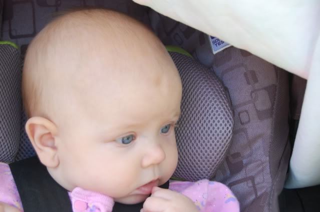 at apple orchard 2012