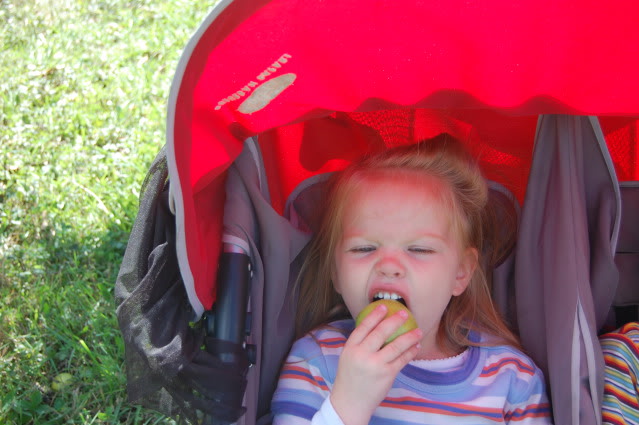 at apple orchard 2012