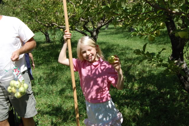 at apple orchard 2012