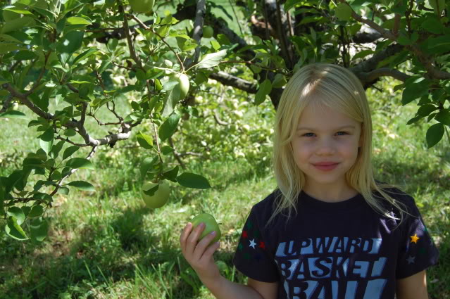 at apple orchard 2012