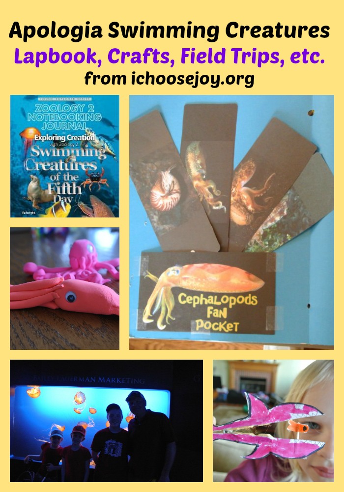 Apologia Swimming Creatures: Lapbook, Crafts, Field Trips, and more! See all we did this year to learn about ocean animals.