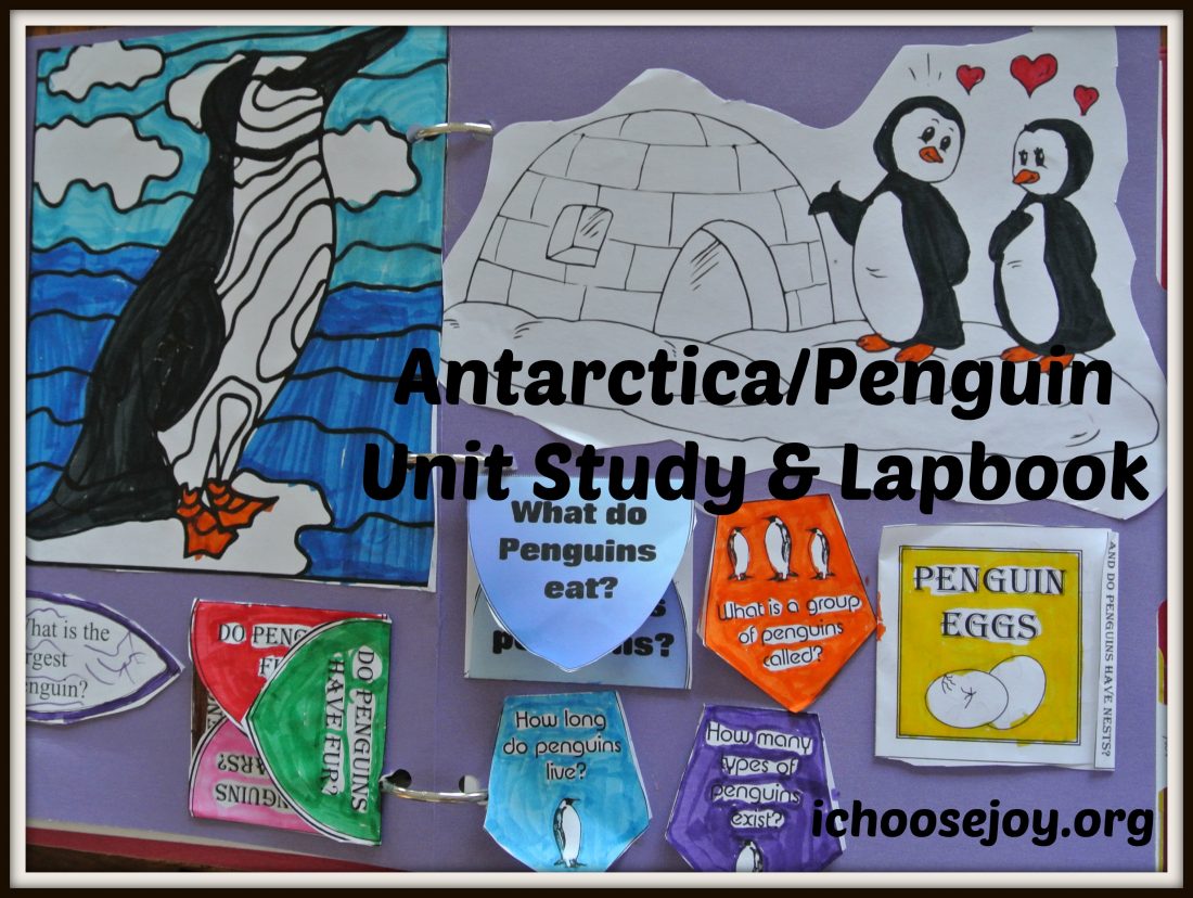 Fun and Exciting Antarctica Unit Study/ Penguin Lapbook Resources