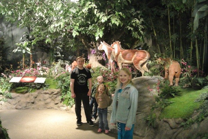 zoo Creation Museum 035
