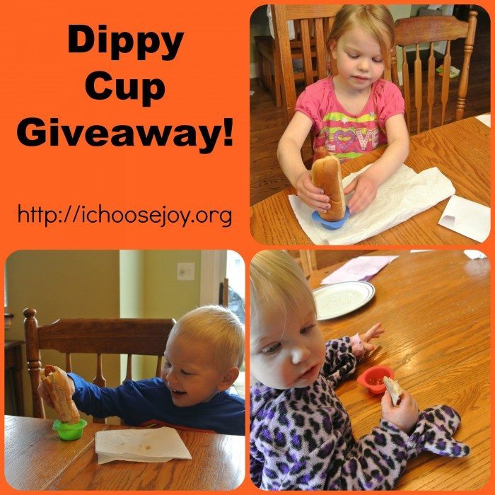 Dippy Cup Giveaway