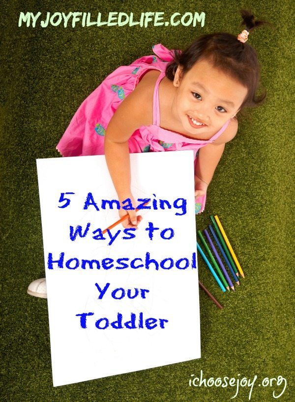 5 Amazing Ways to Homeschool Your Toddler!