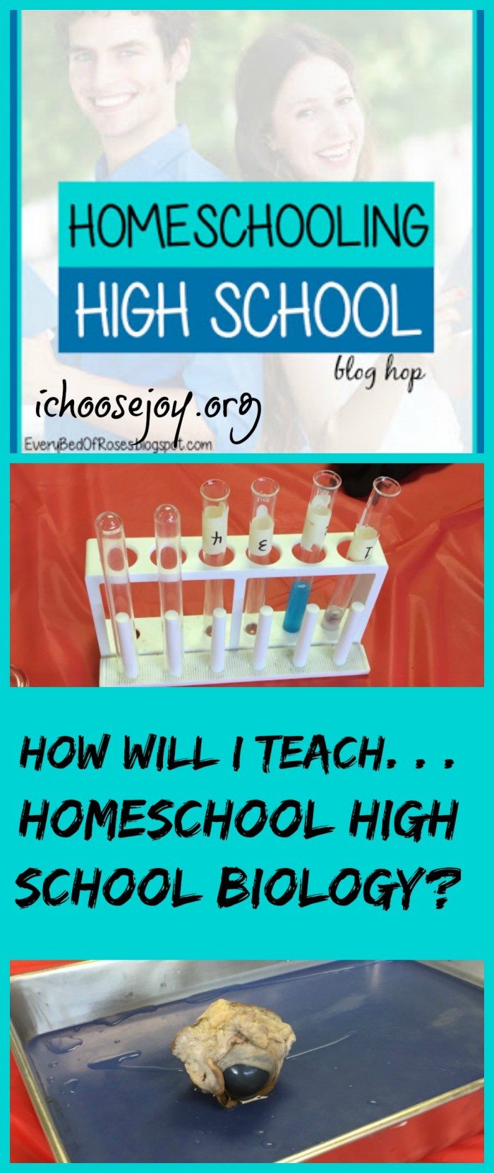 How Will I Teach Homeschool High School Biology