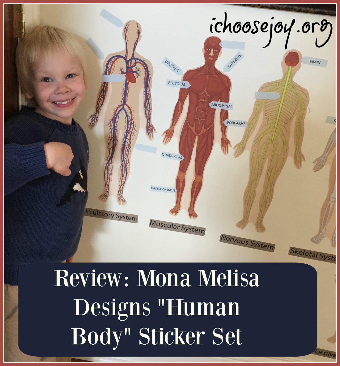 Review: Mona MELisa Designs “Human Body” Peel, Play, and Learn Sticker Set