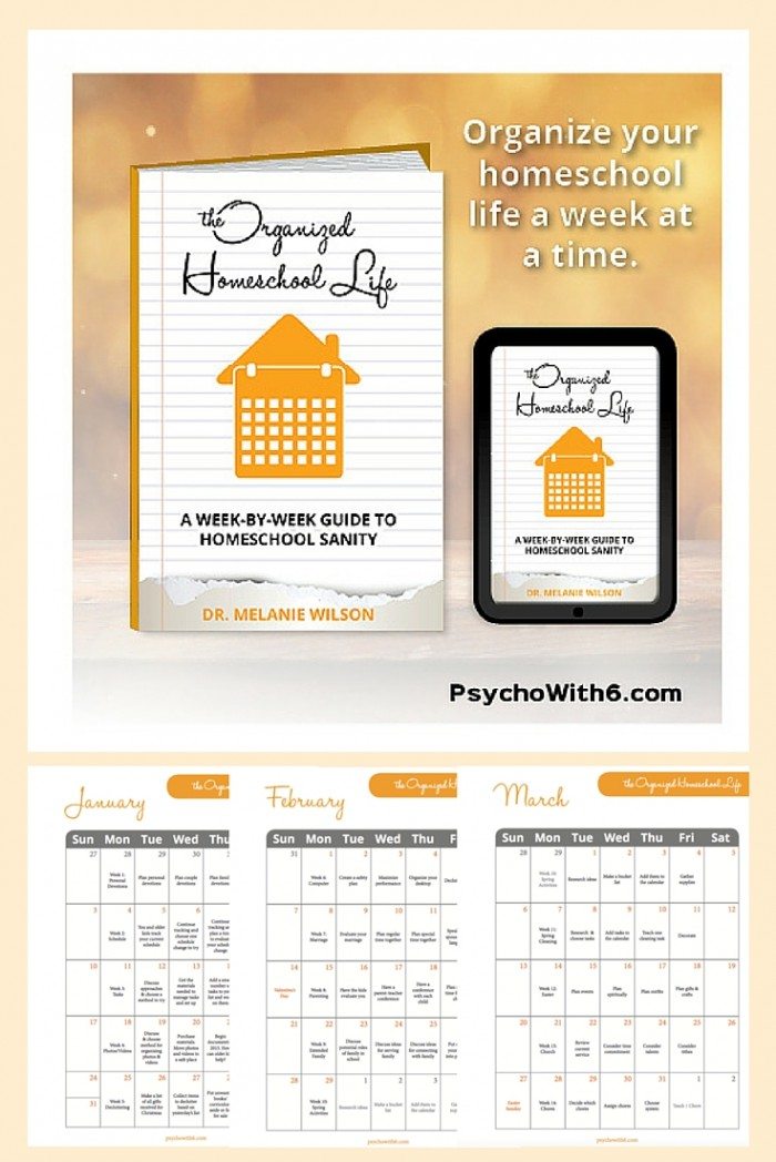 The Organized Homeschool Life is a plan to get you organized one week at a time with only 15 minutes at a time. Do the weekly missions and see how far you'll go in a year! #organizing #organization #homeschoolmom #homeschoolorganization #ichoosejoyblog