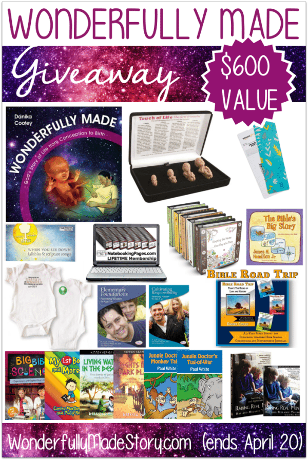 Help Your Kids Know they are Wonderfully Made (& a $600 Value Giveaway)