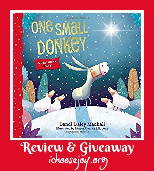 One Small Donkey children's book review and giveaway