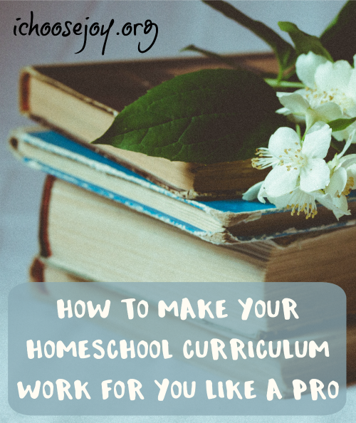 How to Make Your Homeschool Curriculum Work for You Like a Pro, from a homeschool mom of 8