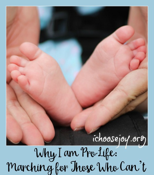 Why I am Pro-Life- Marching for Those Who Can't and the organization Save the Storks