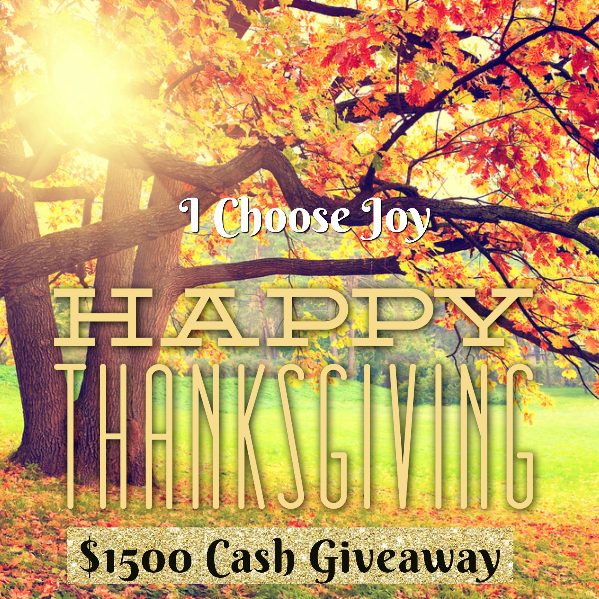 $1500 Thanksgiving Cash Giveaway ~ 3 Winners $500 Each