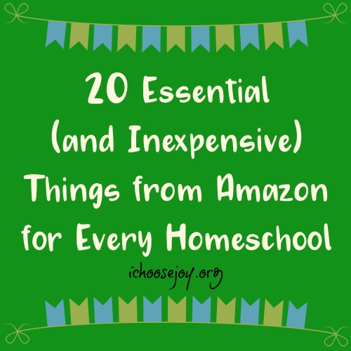20 Essential (and Inexpensive) Things from Amazon for Every Homeschool