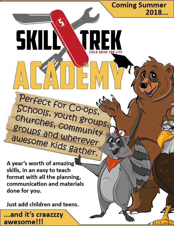 Skill Trek Academy for learning the skills you need in life. 100+ Online Courses The Ultimate Guide for Homeschool Success using online courses. #onlinecourses #homeschool #homeschoolcurriculum #ichoosejoyblog