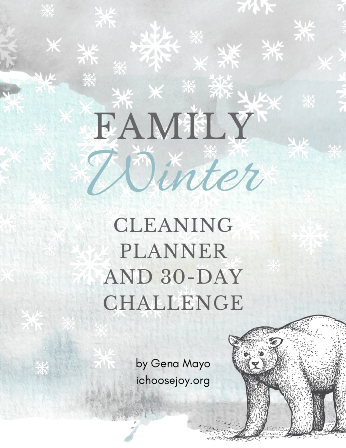 Family Winter Cleaning Planner and 30-Day Challenge 