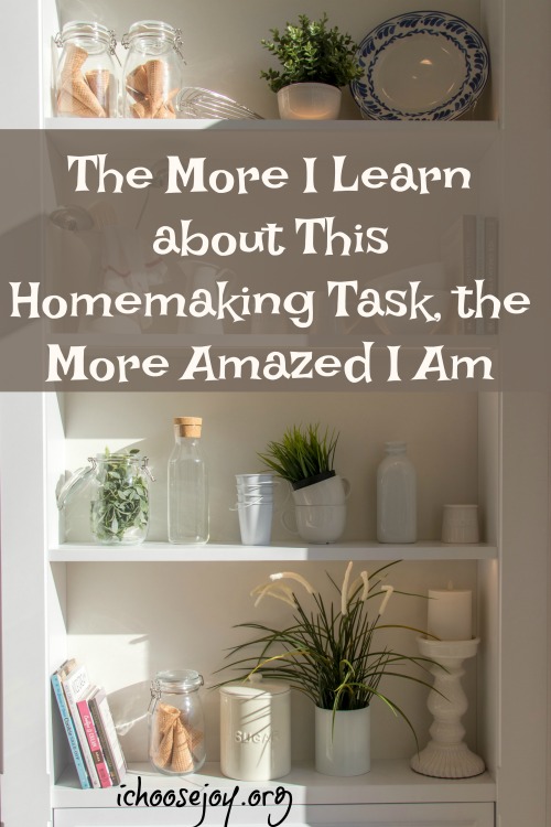 The More I Learn about This Homemaking Task, the More Amazed I Am