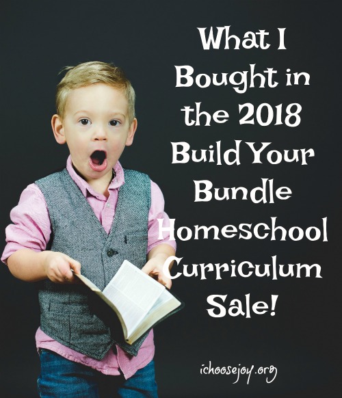 What I Bought in the 2018 Build Your Bundle Homeschool Curriculum Sale